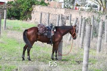 El Valle de los Nueve Alto celebra el día grande de sus fiestas patronales/Francisco Javier Santana.